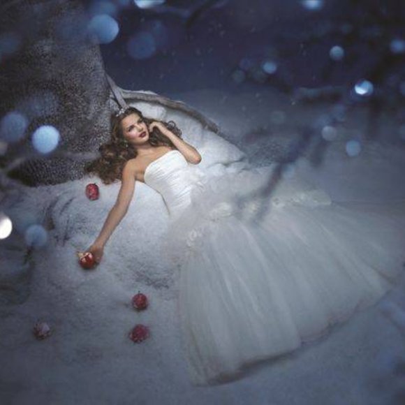 Fairytale Collection Wedding Gown - Picture 1 of 3